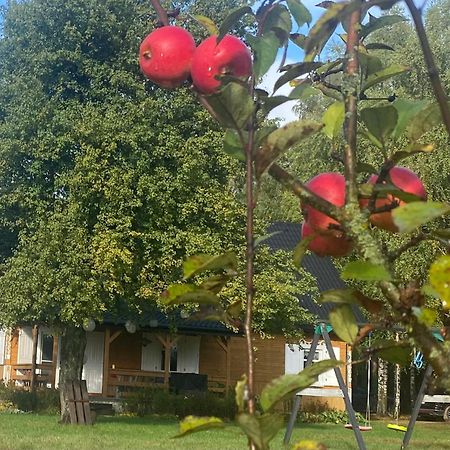 Villa Wakacyjny Dom W Sakach Kleszczele Exterior foto