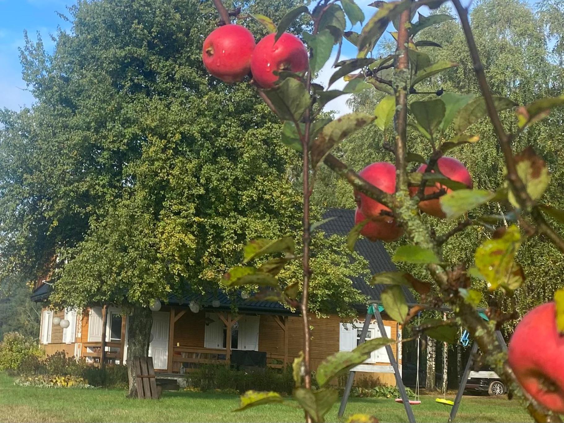 Villa Wakacyjny Dom W Sakach Kleszczele Exterior foto
